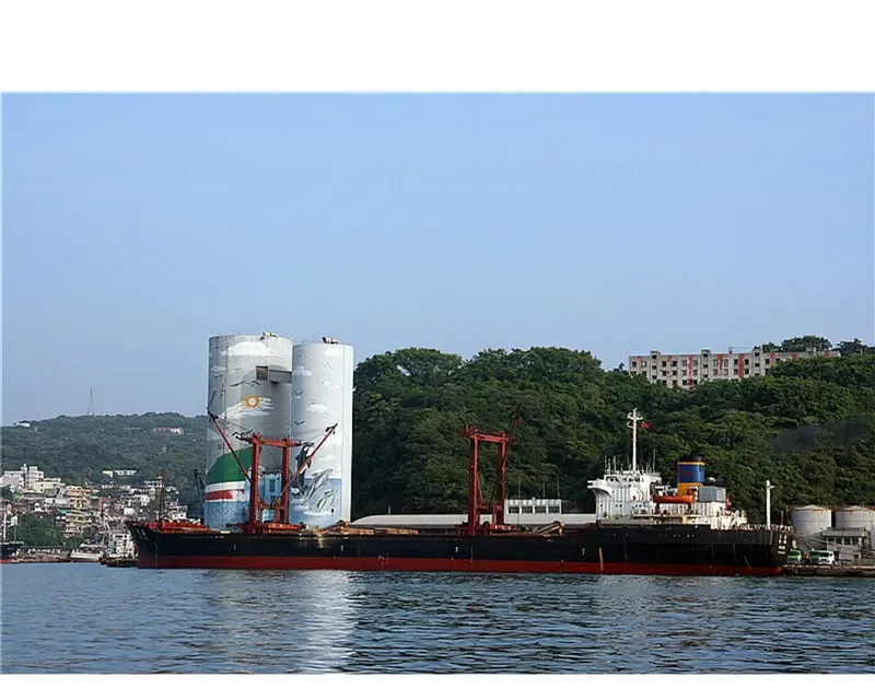 DA JIA Bulk Carrier IMO 6922509 photo 4