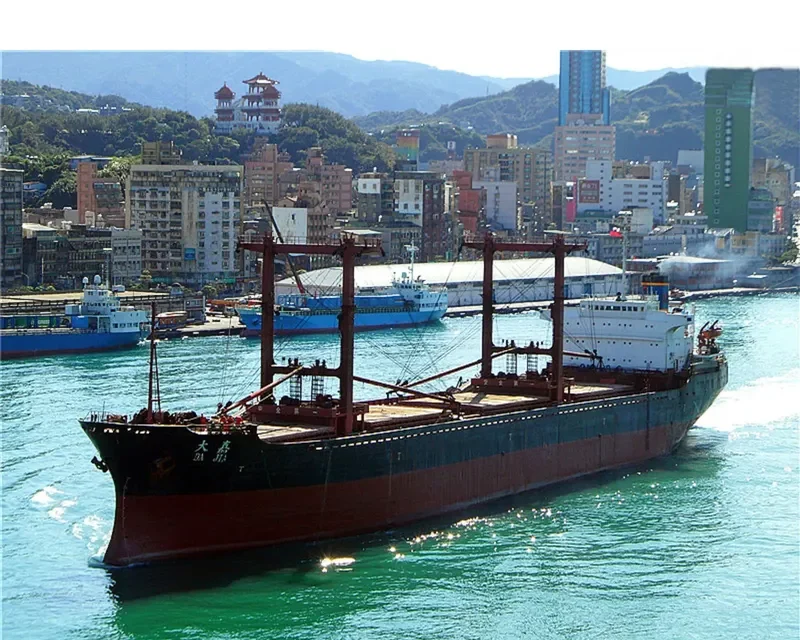 DA JIA Bulk Carrier IMO 6922509 photo 6