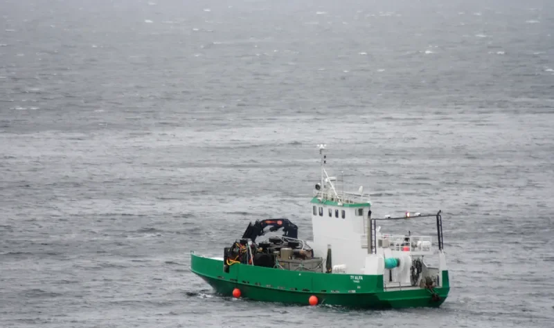 TY ALFA Ro-Ro IMO 6925020 photo 2