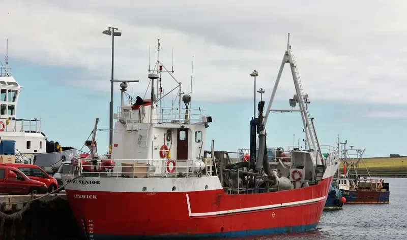 VIKING SENIOR General Cargo IMO 6925094