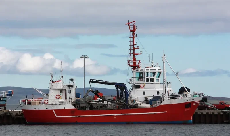 VIKING SENIOR General Cargo IMO 6925094 photo 2