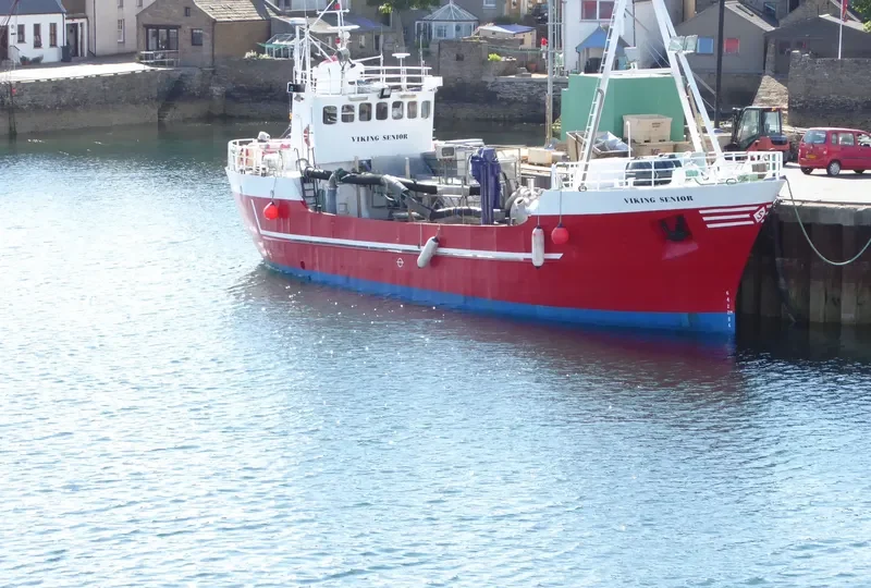 VIKING SENIOR General Cargo IMO 6925094 photo 4