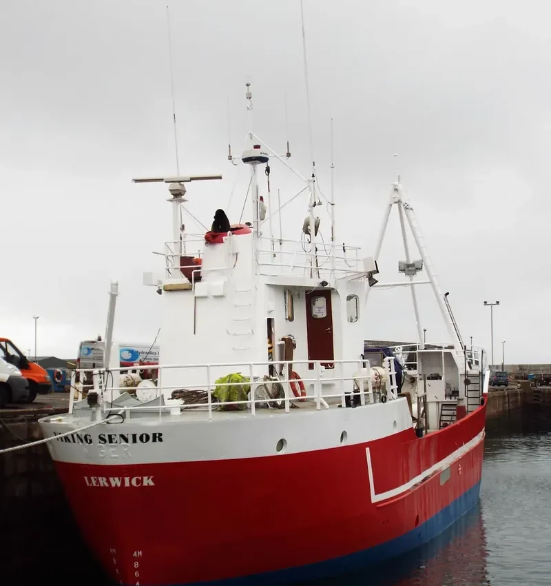 VIKING SENIOR General Cargo IMO 6925094 photo 6