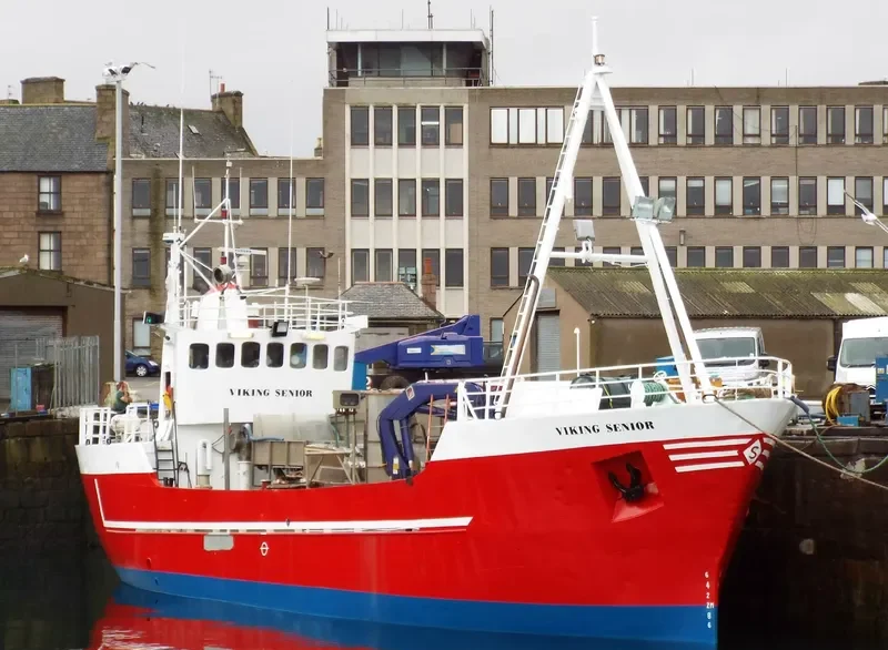 VIKING SENIOR General Cargo IMO 6925094 photo 7