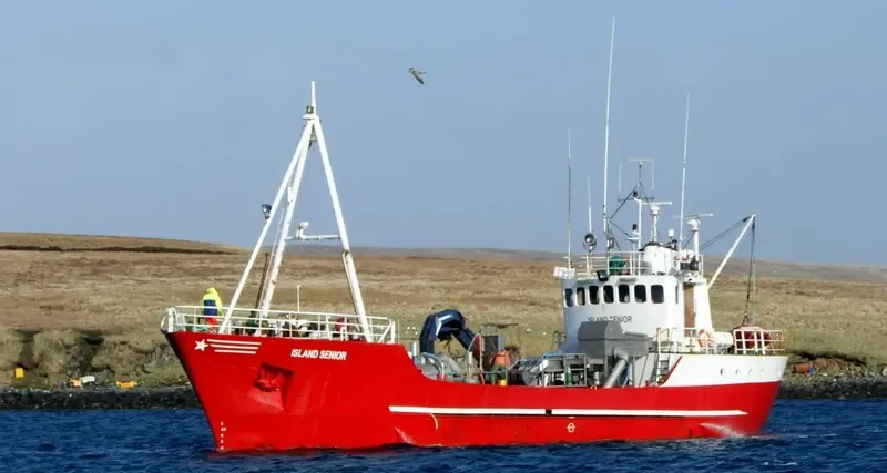 VIKING SENIOR General Cargo IMO 6925094 photo 10