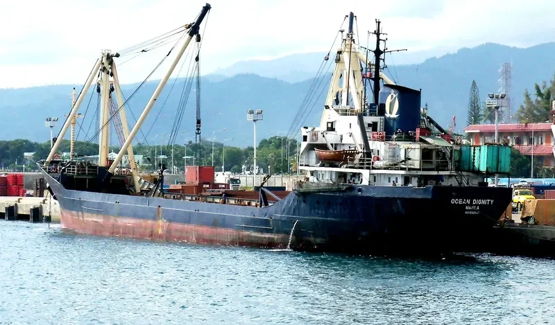 OCEAN DIGNITY General Cargo IMO 6926141