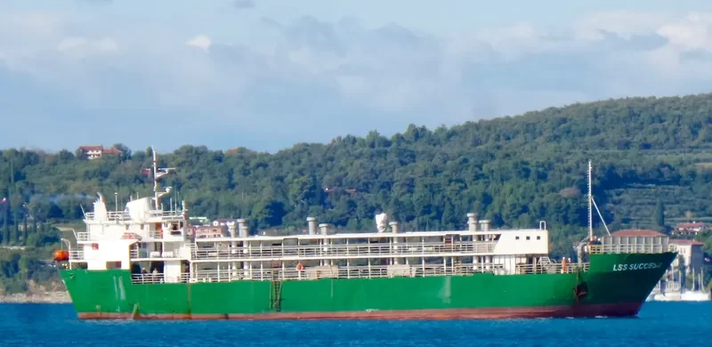 LSS SUCCESS General Cargo IMO 6927092 photo 2