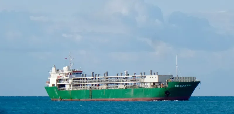 LSS SUCCESS General Cargo IMO 6927092 photo 3