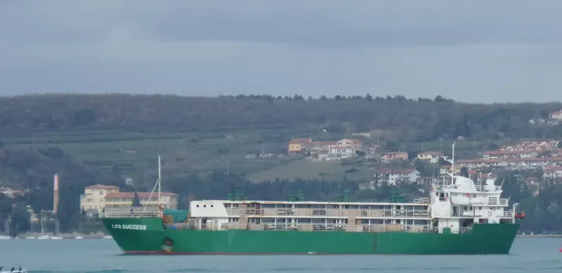 LSS SUCCESS General Cargo IMO 6927092 photo 6
