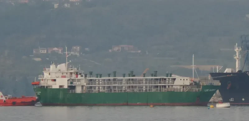 LSS SUCCESS General Cargo IMO 6927092 photo 7