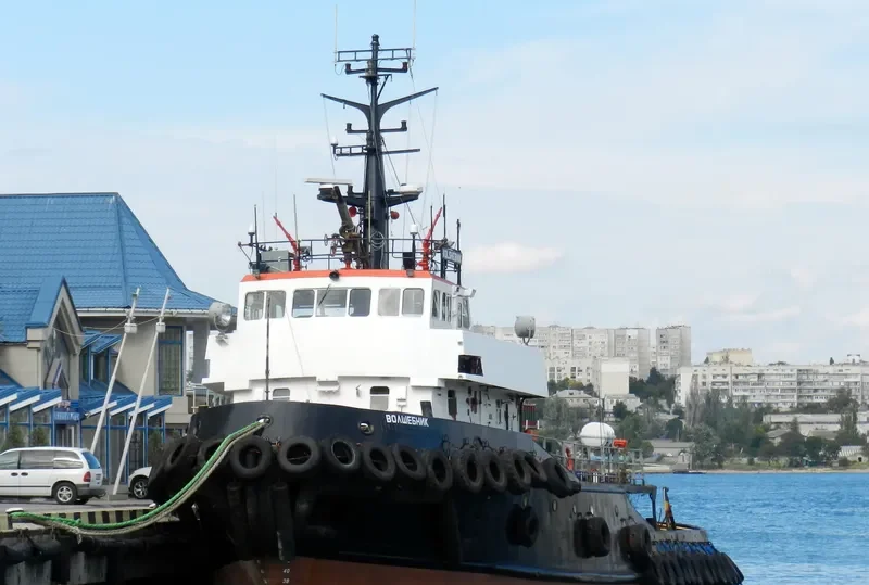 VOLSHEBNIK General Cargo IMO 6928864 photo 5