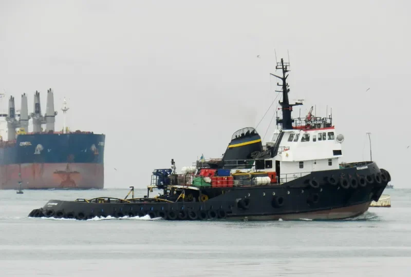 VOLSHEBNIK General Cargo IMO 6928864 photo 6