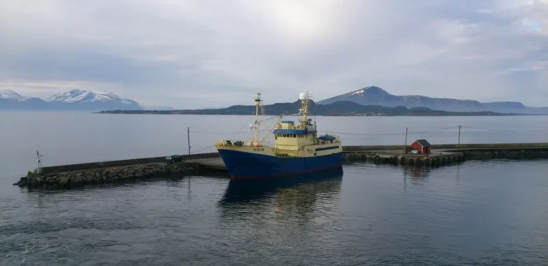 KATO General Cargo IMO 6929985 photo 5