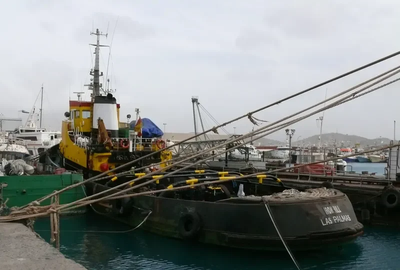 IRON BULL Tug Boat IMO 6929997 photo 2