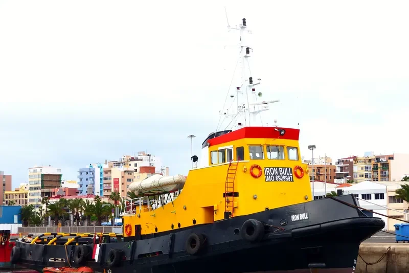 IRON BULL Tug Boat IMO 6929997 photo 3