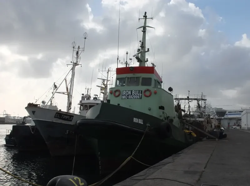 IRON BULL Tug Boat IMO 6929997 photo 4