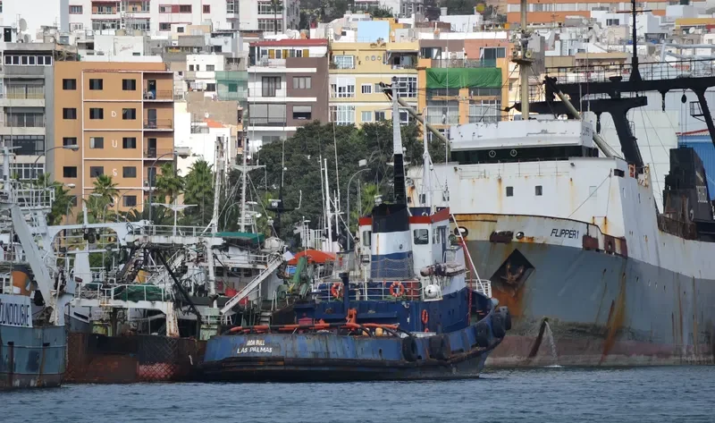 IRON BULL Tug Boat IMO 6929997 photo 6