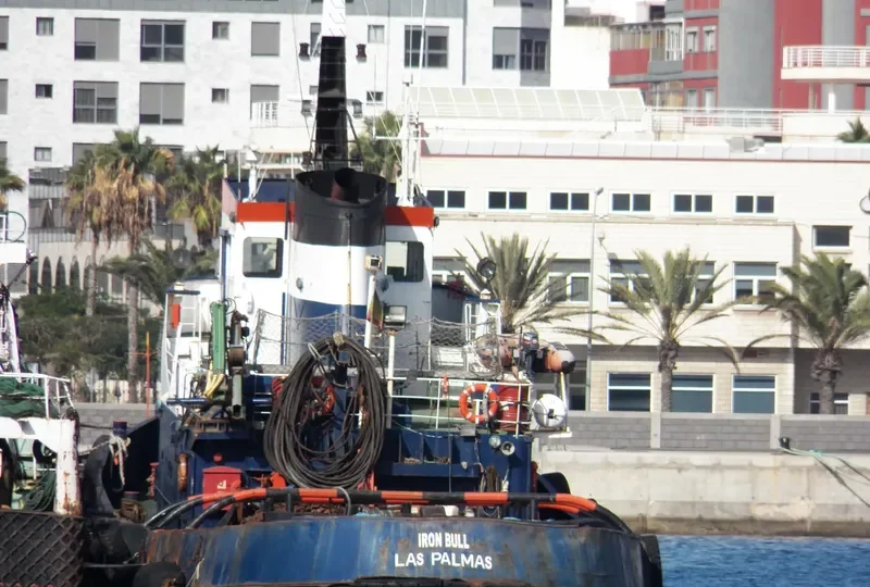 IRON BULL Tug Boat IMO 6929997 photo 7