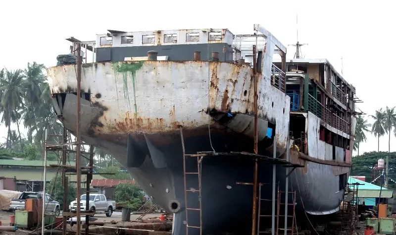 MAGNOLIA GRANDIFLORA Passenger Ship IMO 7003348 photo 4