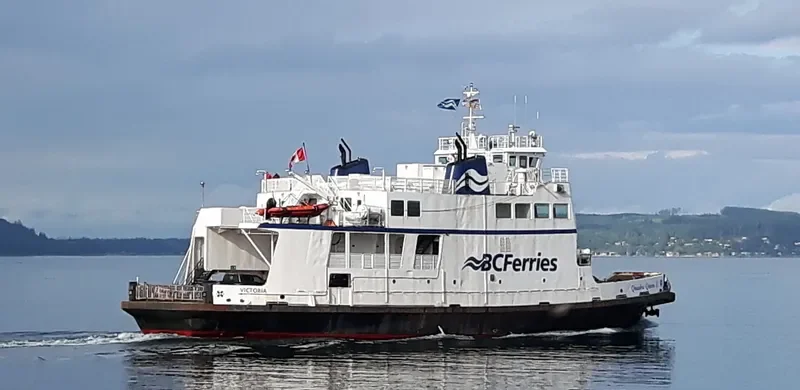 QUADRA QUEEN II Ro-Ro IMO 7003439
