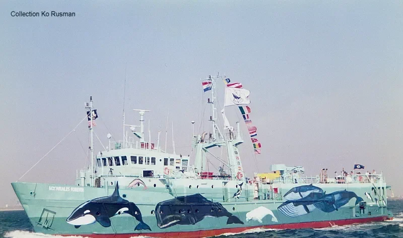AFRICA SUPPORT 2 Offshore Vessel IMO 7005229