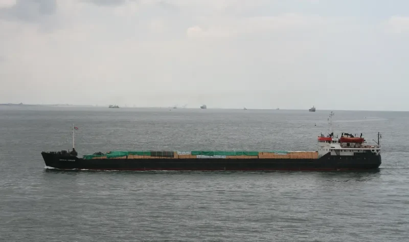 NIKOLAY LEBEDEV General Cargo IMO 7005554 photo 7