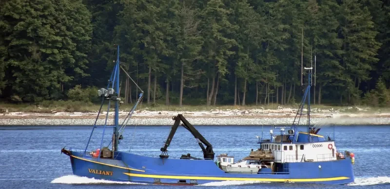 VALIANT Fishing Vessel IMO 7005841 photo 6