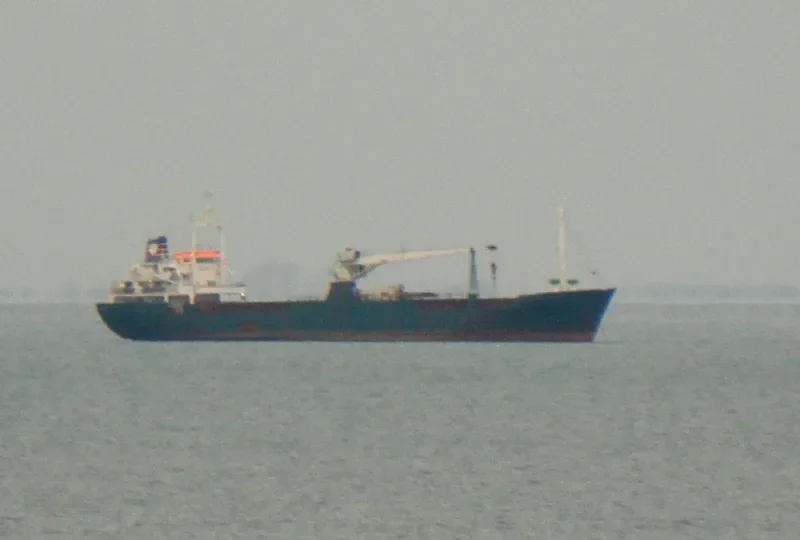AL BUSHRA General Cargo IMO 7007071 photo 2