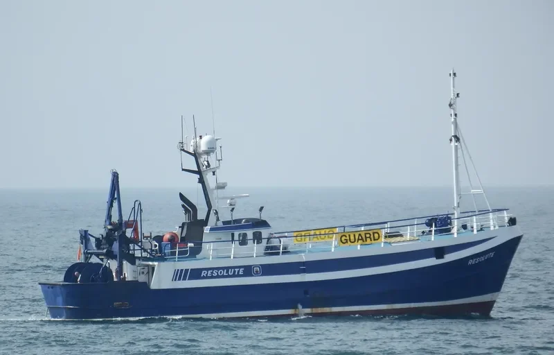 RESOLUTE Offshore Supply Vessel IMO 7008025