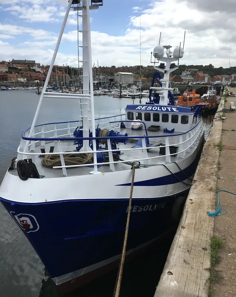 RESOLUTE Offshore Supply Vessel IMO 7008025 photo 7