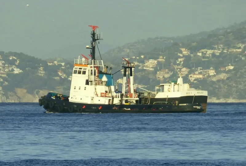 POSEIDON Tug Boat IMO 7008738 photo 6