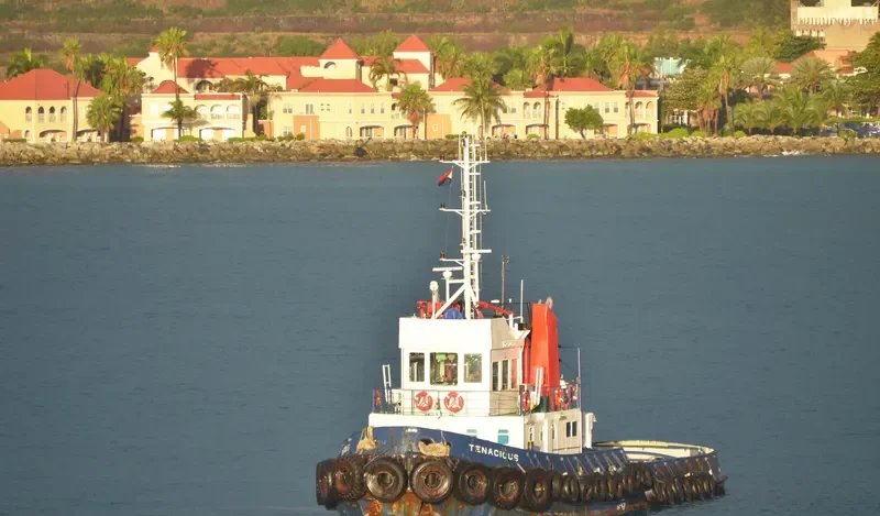 TENACIOUS Tug Boat IMO 7009861 photo 3