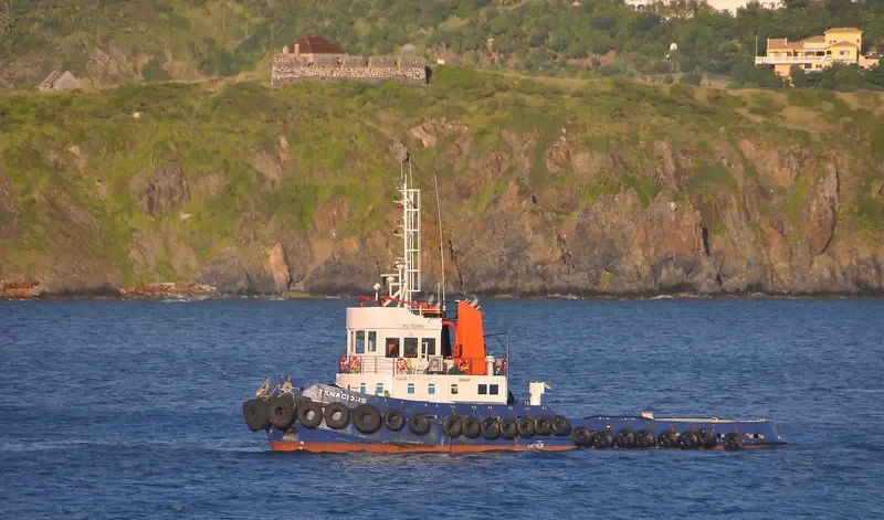 TENACIOUS Tug Boat IMO 7009861 photo 5