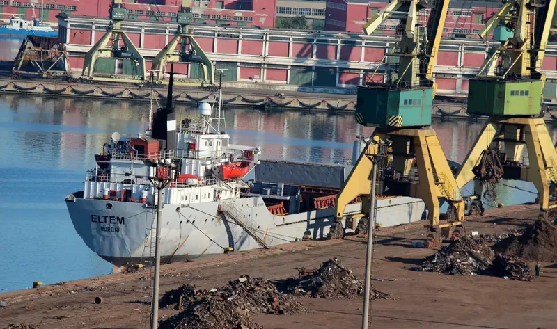 ELTEM Bulk Carrier IMO 7009988