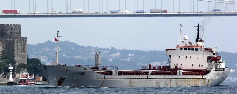 ELTEM Bulk Carrier IMO 7009988 photo 3