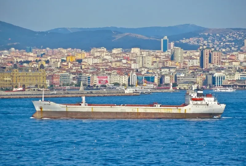 ELTEM Bulk Carrier IMO 7009988 photo 4