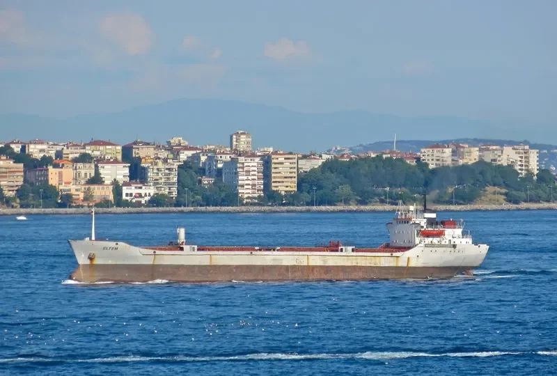 ELTEM Bulk Carrier IMO 7009988 photo 5