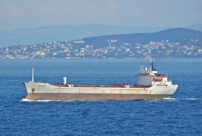 ELTEM Bulk Carrier IMO 7009988 photo 6