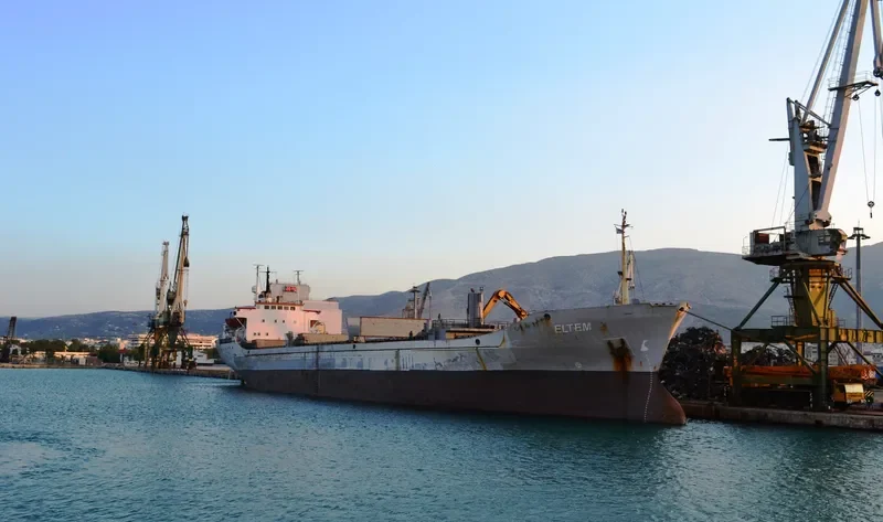 ELTEM Bulk Carrier IMO 7009988 photo 8