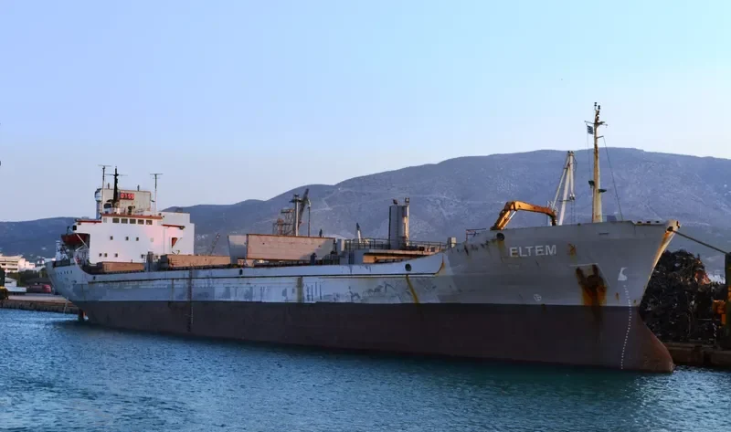 ELTEM Bulk Carrier IMO 7009988 photo 9