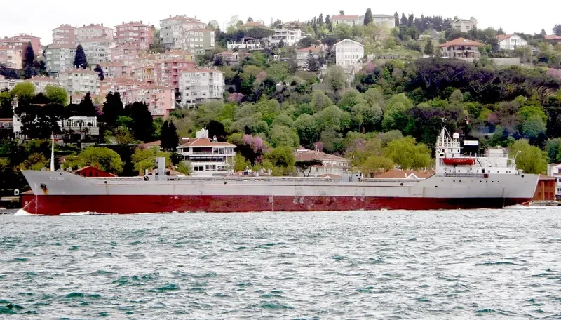 ELTEM Bulk Carrier IMO 7009988 photo 10