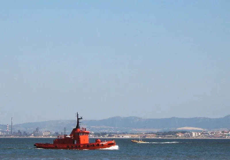 MONTE XISTO Tug Boat IMO 7010884 photo 2