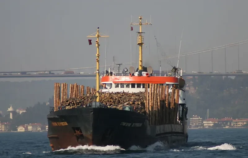 GRIGORIY PETROVSKIY General Cargo IMO 7011096 photo 2