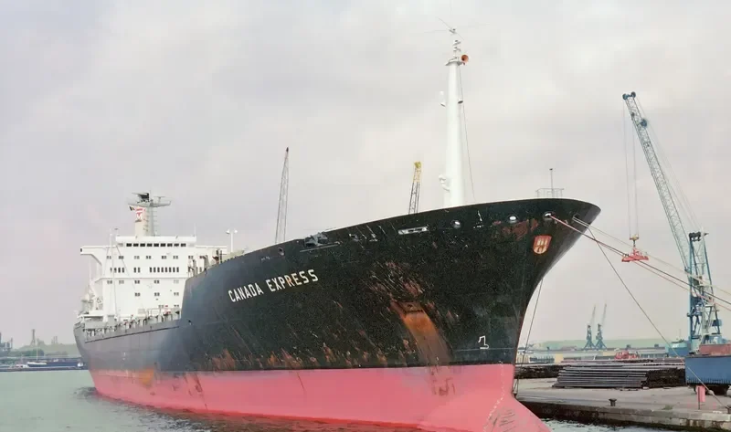 MSC BRIANNA Container Ship IMO 7011137