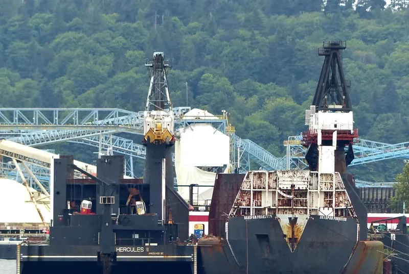 SEASPAN FORESTER General Cargo IMO 7011242 photo 10