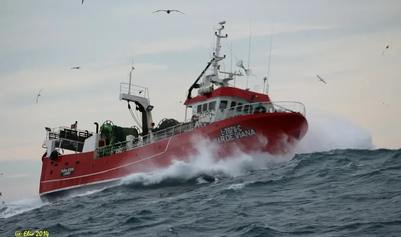 MAR DE VIANA Fishing Vessel IMO 7011278 photo 4