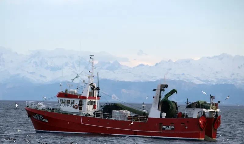 MAR DE VIANA Fishing Vessel IMO 7011278 photo 7