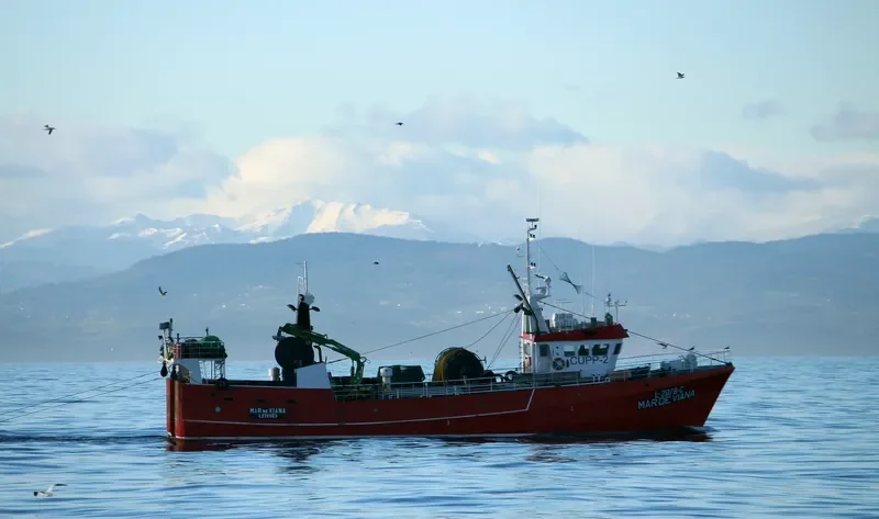 MAR DE VIANA Fishing Vessel IMO 7011278 photo 8