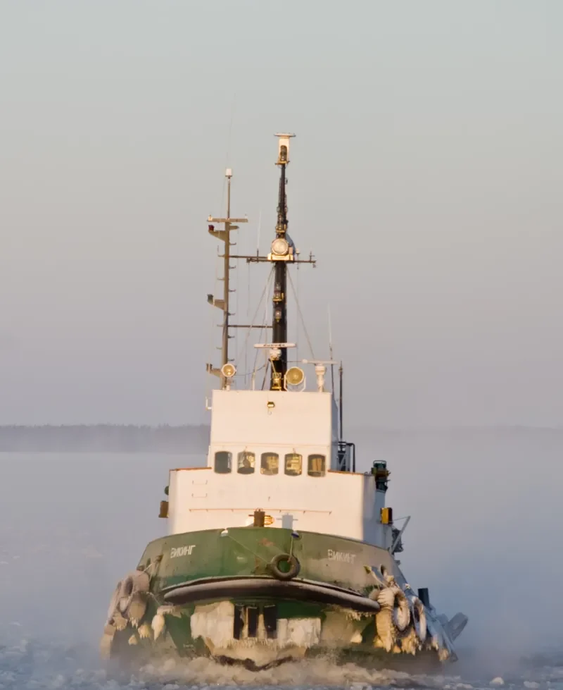 VIKING General Cargo IMO 7011606 photo 2