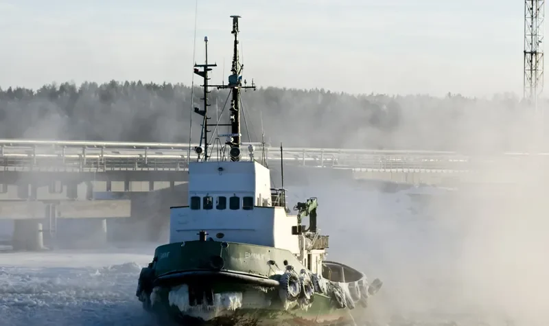 VIKING General Cargo IMO 7011606 photo 4